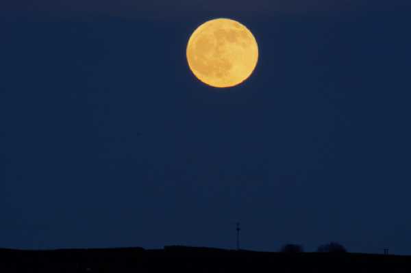 10 January 2020 - 16-46-44 
A Wolf Moon . Also a Full Moon. And, it's also a penumbral lunar eclipse. So there you have it.